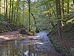 Blick auf den Maisinger Bach