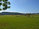 Pferdekoppeln bei Maising