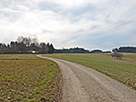 ...und biegen dann nach links in einen Feldweg ein