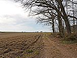 ...und erreichen dann über eine Feldweg...