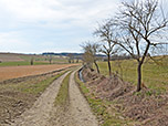 Nach Albersbach gelangen wir über einen Feldweg...