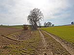 ...und folgen dem Feldweg...