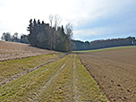 In der Senke halten wir uns links und folgen dem Karrenweg...