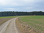 ...und folgen dem Feldweg...