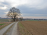 Vor uns erkennen wir bereits Altomünster