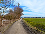 ...und erreichen über einen Forstweg...