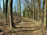 Der Weg ist unproblematisch zu begehen
