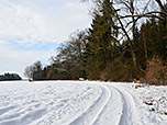 ...und folgen immer dem Waldrand