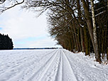 Am Ende des Waldstücks biegen wir rechts ab und folgen so immer dem Waldrand