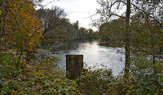 Wanderung von Röhrmoos über Mariabrunn und Ampermoching nach Dachau