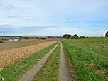 Der Feldweg führt uns ein Stück ostwärts...