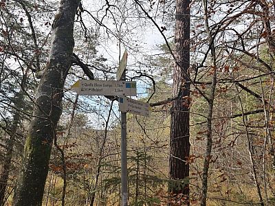Wir marschieren hier weiter Richtung Gut Aiderbichl