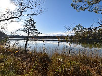 Wir genießen die warmen Strahlen ...