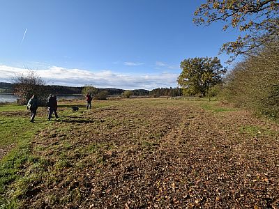 Die Wiesen kurz vor dem Gut Aiderbichl