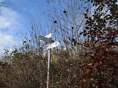 Nur wenig später halten wir uns links Richtung Unterlauterbach