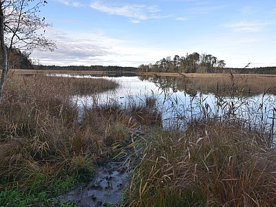 Die Schwaigerinsel im Großen Ostersee
