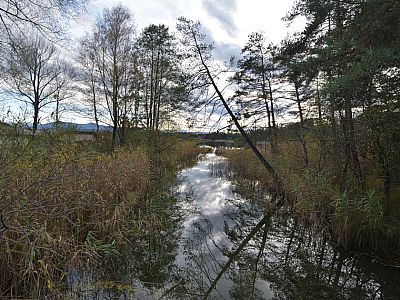 Der Ausblick von der Brücke Richtung Fohnsee