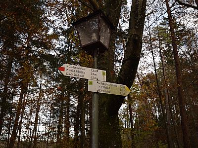 Wir marschieren weiter Richtung Iffeldorf