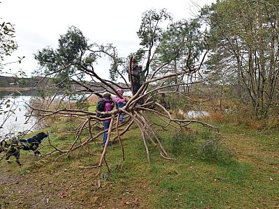 Nicht weit entfernt finden wir einen Kletterbaum am Ufer des Großen Ostersees