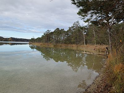 Wir marschieren in Ufernähe weiter nach Norden 