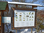 Infotalfel mit den heimischen Vogelarten
