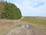 Nach dem Wald meistern wir eine kleine Steigung...