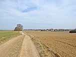 ...und biegen nach einer Kurve linkshaltend in einen Feldweg ein