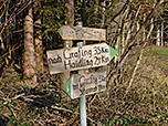 Am Waldrand halten wir uns Richtung Schammach