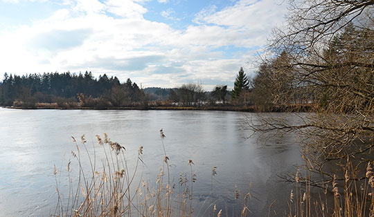 Wanderung von Tutzing zum Deixlfurter See und auf die Ilkahöhe