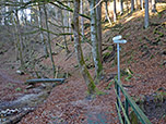 Nach dieser Brücke biegen wir Rechts Richtung Deixlfurter See ab