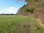 Wir folgen dem Waldrand...