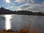 ...zum Weiher östlich des Deixlfurter Sees