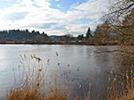 Hinter dem Weiher erkennt man den Deixlfurter See