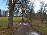 Nun folgen wir der Allee...