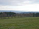 Blick zum Starnberger See
