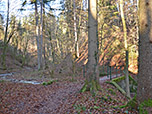 ...in die Waldschmidtschlucht hinein