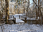 Gleich nach der Brücke gehen wir in den Wald hinein...