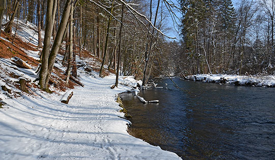 Wanderung von Gauting an der Würm und durch das Leutstettener Moos zum Starnberger See