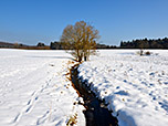 Kleiner Bachlauf im Moos