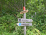 Hier verlassen wir den Weg nach links...