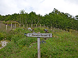 Der Weg zum Storseterfossen ist nicht zu verfehlen