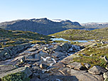 ...erleichtern uns den Weg über das wasserreiche Terrain