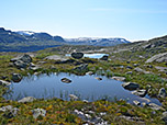 Verdursten muss auf der Trolltunga-Wanderung niemand