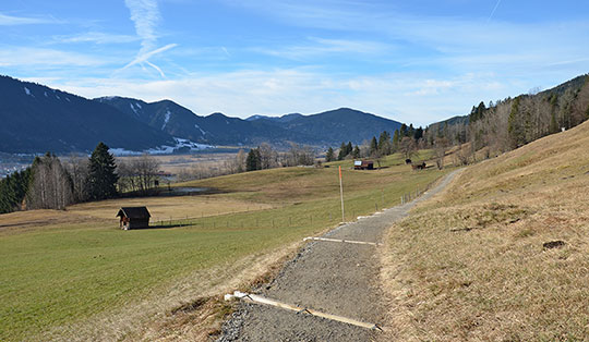 Altherrenweg und Romanshöhe