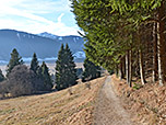 ...und folgen im Anschluss einem Waldrand bergab