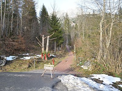 In einer Linkskurve verlassen wir erneut die Straße
