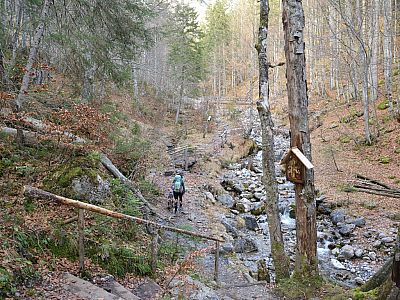 Herzu geht es in der Spatlahnerklamm Stück weiter bergauf.
