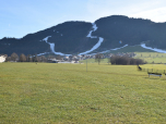 Deutlich stechen die weißen Skipisten aus dem Grün hervor