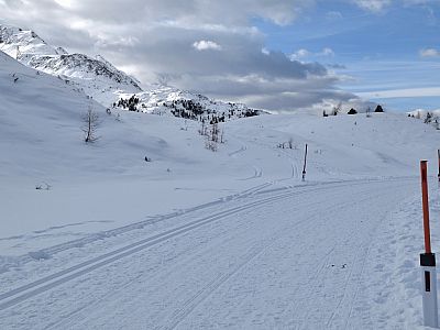 Nach etwa 500 Metern wechseln wir auf einen Pfad nach links