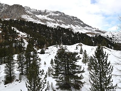 ... und können Minuten später das Heldenkreuz sehen.